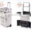 Professional Aluminum Cosmetic Case Trolley Makeup Case Drawers Trays With Mirror                        
                                                Quality Choice
                                                    Most Popular