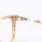 G3197M C1729 new hot modern ladies branded glasses/eyewear/frames