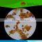High quality Individual microbiology type microscope prepared slides