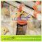 LEON series chicken nipple drinking system with hanging cup