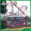 amusement park adult spinning roller coaster for sale