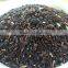 Organic Rice Berry from Thailand OEM