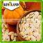 Kingland shine skin pumpkin seed 10cm 11cm 11mm