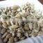 low price sunflower kernels from factory For Cake sunflower kernels