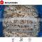 machines for Frozen champignons halves/dices/slices China brands
