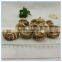 Dried Mushroom Export price from Mushroom Greenhouse