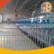 Auto Feeder System For Pigs