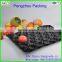 colorful fruit foam net/fruit protection net /Free design hot sale fruit net