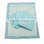 Adult Diaper and absorbent sheet