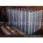 Galvanized Welded Wire Mesh