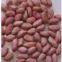 red skin peanut kernels