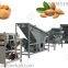 Hot selling almond hulling machine cost almond shelling machine supplier China