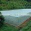 Clear plastic tarpaulin,greenhouse tarpaulin sheet Roof tarp tarpaulin