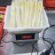 IQF White asparagus spears L grade washing ,peeled ,blanching