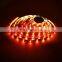 Factory Price 30leds per meter 5m roll smd 5050 rgb waterproof led strip light