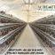 chicken cage automatic system for sale in Ghana, good quality material chicken cages