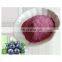 Supply pure blueberry extract powder 30% Natural Blueberry anthocyanins