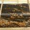 Black fusion granite   slabs for countertops and wall decoration