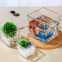 Wholesale Home Decoration Glass Cube Plant Flower Vases Square Clear Glass Vase