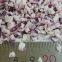 wholesales freeze dried red onion dice