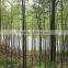 Factory bamboo pole product manufacturing