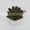 Best selling high simulation mini artificial plants and succulent with best price