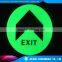 photoluminescent vinyl/glow in dark sticker/luminous vinyl
