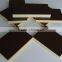 Shuttering plywood 18mm black film faced plywood with best prices