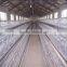 Broiler feeding equipment/broiler chicks rate/pet accessories wholesale china