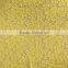 Wholesale french scalloped cord lace fabric