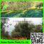 Hot selling olive collection nets,60g/sm PE plastic olive harvest nets,fruits collection netting