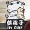 UV Protected Screen Printing glitter car sticker Body Stickers Use Waterproof magnetic car signs ---DH20629