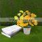 new style decorative Promotional Artificial small bonsai for table decoration