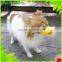 pet products latex duckbilled Bark bite stop Duck-face Dog Muzzle