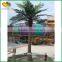 Factory price plastic coconut tree handmade artificial coconut palm tree for plaza decor                        
                                                                                Supplier's Choice