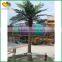 wholesale fake plant artificial coconut palm tree decor                        
                                                                                Supplier's Choice