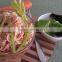 Organic Carrot Instant Noodle