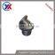 iron cast eccentric casting