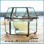 Hot sale wholesale indoor plant glass terrarium clear glass geometrical hanging terrarium-hanging hand blown glass geometric