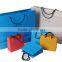 Luxury Paper Bag/Paper Gift Bag/Custom Shopping Paper Bag
