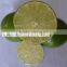 SEEDLESS LEMON/ LIME with BEST PRICE