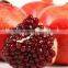 FRESH WONDERFUL POMEGRANATE