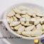 New Crop Shine Skin Pumpkin Seeds