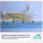 Pet food-Dried blue whiting