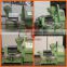 800kg/h coffee beans sunflower oil press machine Complete Equipment