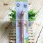 Pet tooth cleaning products Pet Double Headed Pet Toothbrush