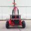 Cheap racing 1000W electric go kart for sale