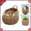 Multi-purpose handcrafted wall hanging home sundries seagrass storage basket