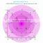 Double chips led grow light full spectrum for greenhouse and indoor plant flowering growing 5W led