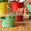 cheap mini garden/home metal flower pot planter for kids